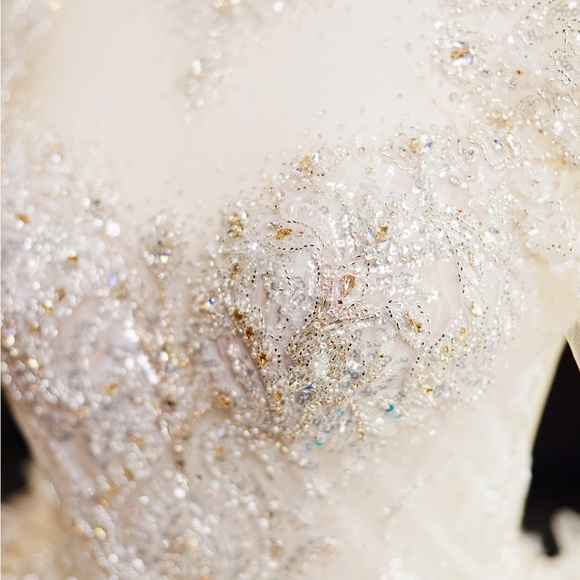 ATELIER BY JIMMY CHOO WEDDING DRESS with JIMMY CHOO matching cathedral veil - Picture 13 of 14